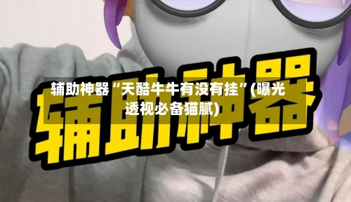 辅助神器“天酷牛牛有没有挂”(曝光透视必备猫腻)-第2张图片