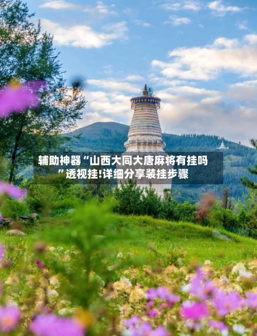 辅助神器“山西大同大唐麻将有挂吗”透视挂!详细分享装挂步骤-第3张图片