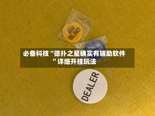 必备科技“德扑之星确实有辅助软件”详细开挂玩法-第3张图片