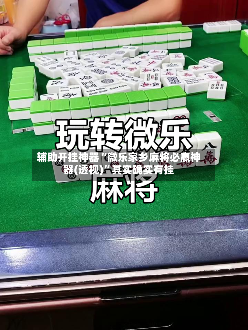 辅助开挂神器“微乐家乡麻将必嬴神器(透视)”其实确实有挂-第2张图片