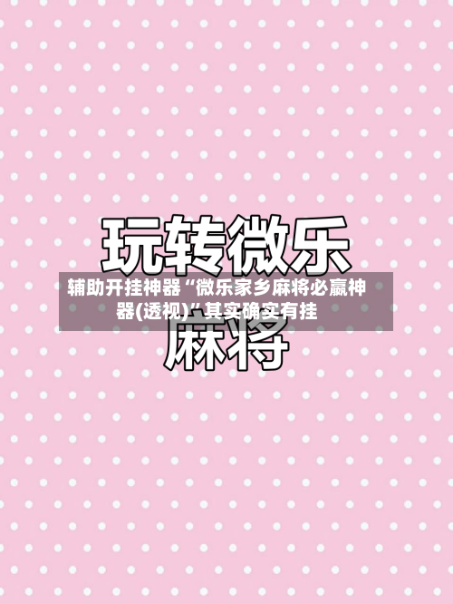 辅助开挂神器“微乐家乡麻将必嬴神器(透视)”其实确实有挂-第3张图片