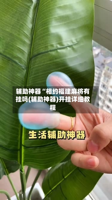 辅助神器“相约福建麻将有挂吗(辅助神器)开挂详细教程-第1张图片
