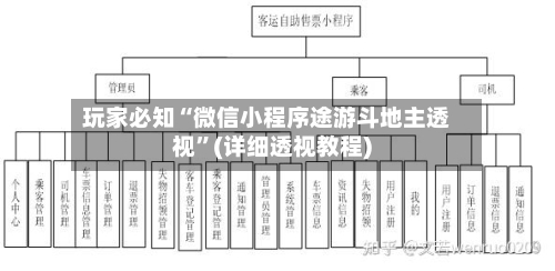 玩家必知“微信小程序途游斗地主透视”(详细透视教程)-第1张图片