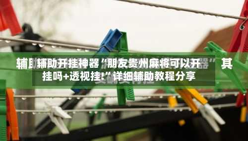 辅助开挂神器“朋友贵州麻将可以开挂吗+透视挂!”详细辅助教程分享-第3张图片