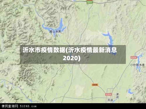 沂水市疫情数据(沂水疫情最新消息2020)-第1张图片