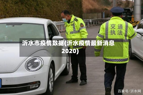 沂水市疫情数据(沂水疫情最新消息2020)-第2张图片