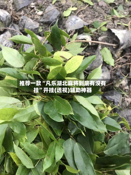 推荐一款“凡乐湖北麻将到底有没有挂”开挂(透视)辅助神器-第3张图片