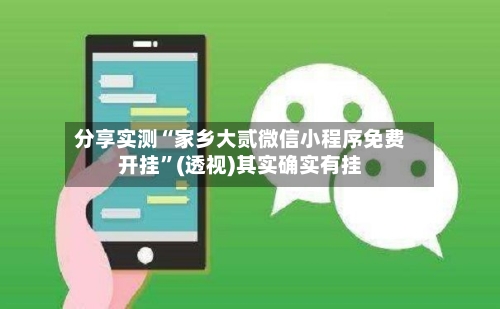 分享实测“家乡大贰微信小程序免费开挂”(透视)其实确实有挂-第2张图片