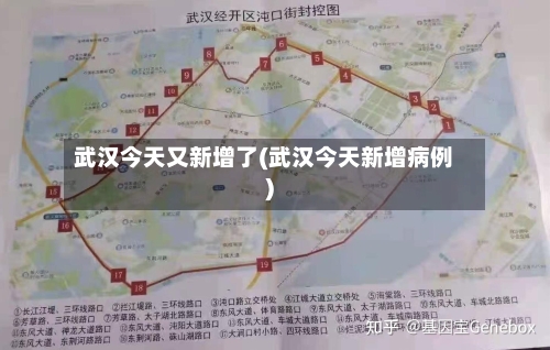 武汉今天又新增了(武汉今天新增病例)-第1张图片