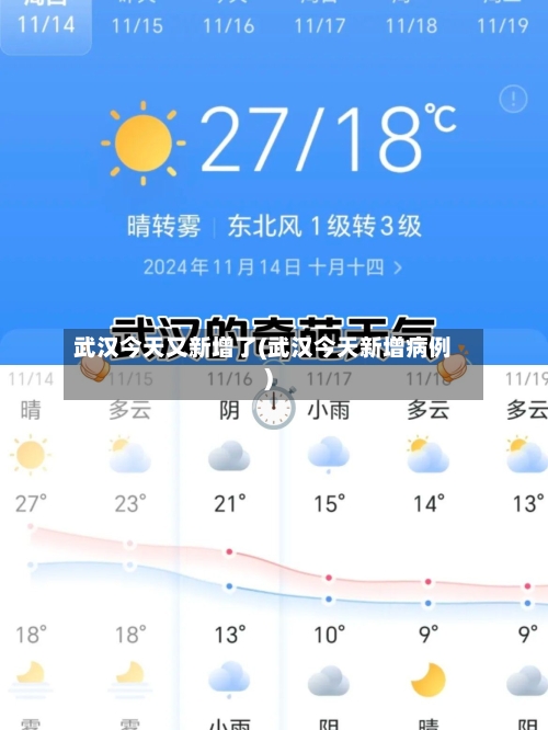 武汉今天又新增了(武汉今天新增病例)-第2张图片