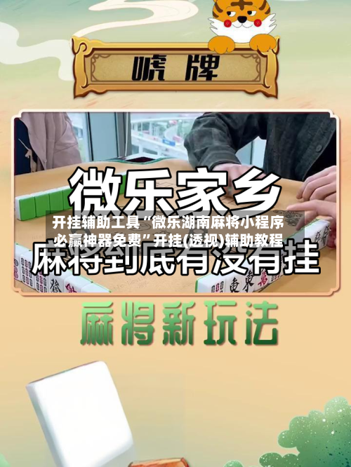 开挂辅助工具“微乐湖南麻将小程序必赢神器免费”开挂(透视)辅助教程-第2张图片