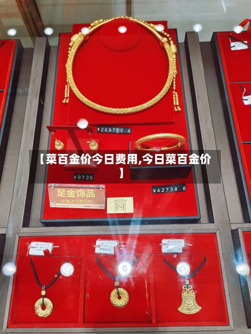 【菜百金价今日费用,今日菜百金价】-第3张图片