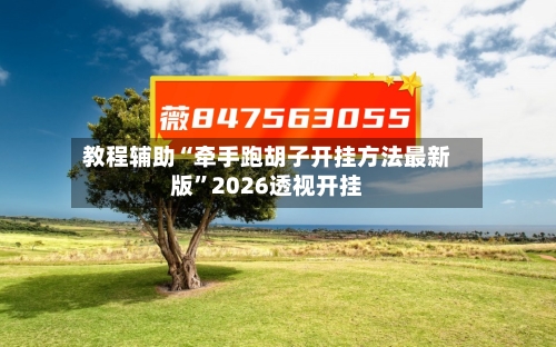 教程辅助“牵手跑胡子开挂方法最新版”2026透视开挂-第1张图片