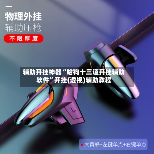 辅助开挂神器“哈狗十三道开挂辅助软件	”开挂(透视)辅助教程-第2张图片
