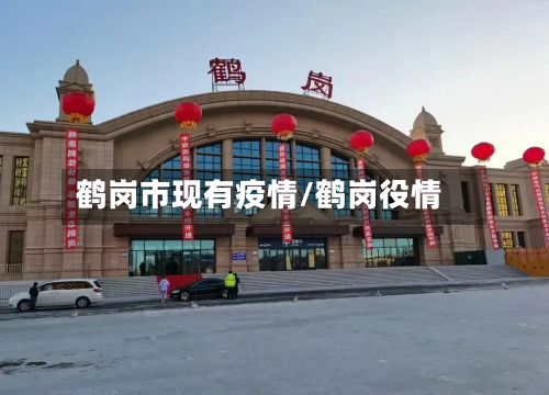 鹤岗市现有疫情/鹤岗役情-第1张图片