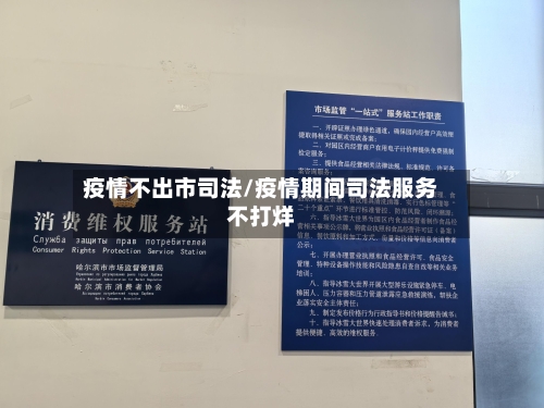 疫情不出市司法/疫情期间司法服务不打烊-第2张图片