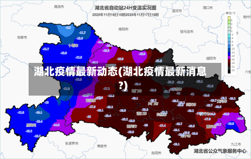 湖北疫情最新动态(湖北疫情最新消息?)-第2张图片