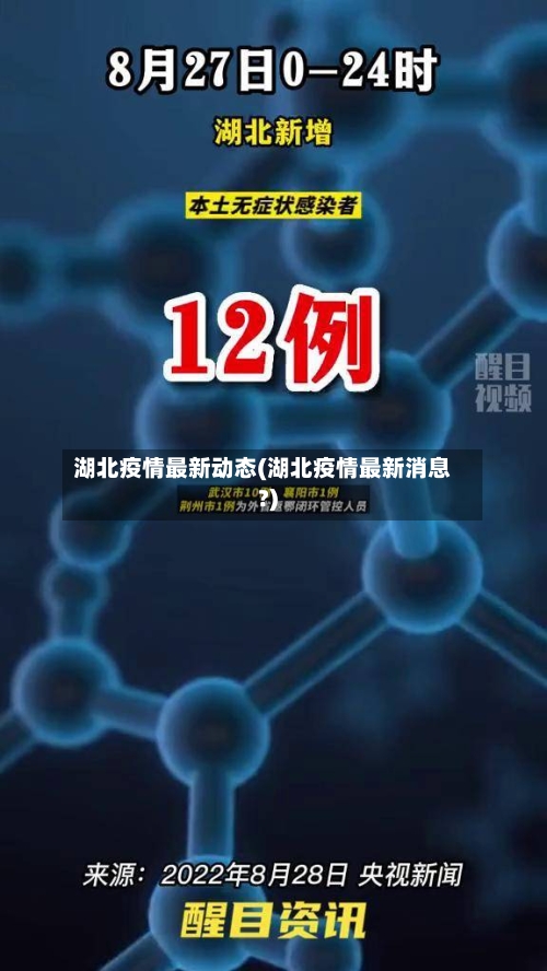 湖北疫情最新动态(湖北疫情最新消息?)-第1张图片