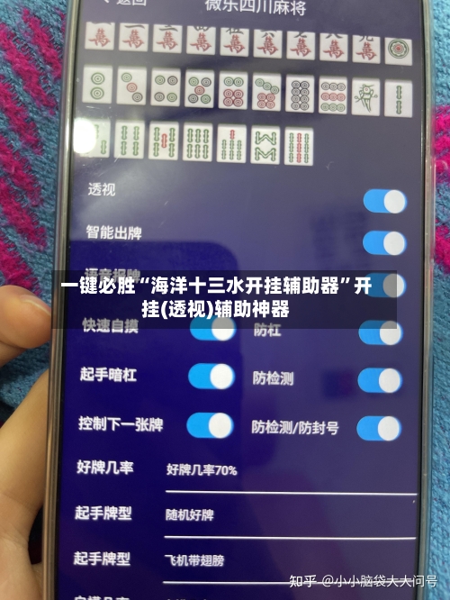 一键必胜“海洋十三水开挂辅助器	”开挂(透视)辅助神器-第2张图片