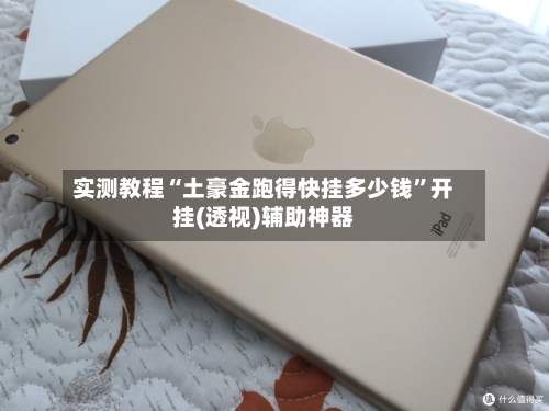实测教程“土豪金跑得快挂多少钱	”开挂(透视)辅助神器-第2张图片