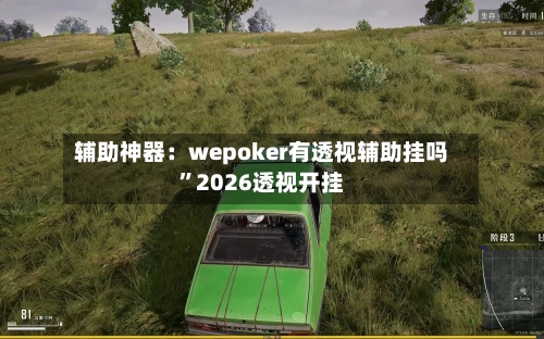 辅助神器：wepoker有透视辅助挂吗	”2026透视开挂-第2张图片