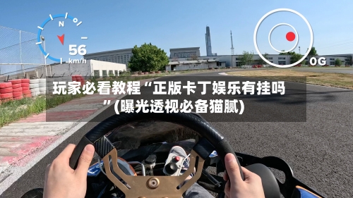 玩家必看教程“正版卡丁娱乐有挂吗”(曝光透视必备猫腻)-第2张图片