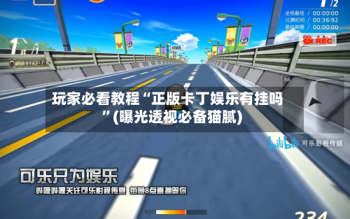 玩家必看教程“正版卡丁娱乐有挂吗”(曝光透视必备猫腻)-第3张图片