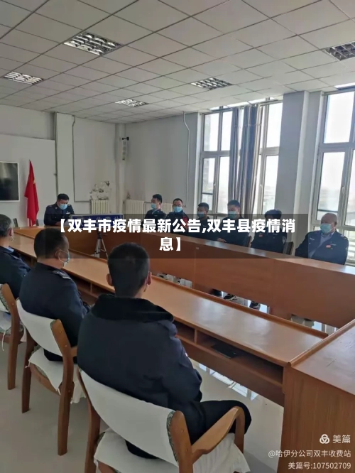 【双丰市疫情最新公告,双丰县疫情消息】-第3张图片