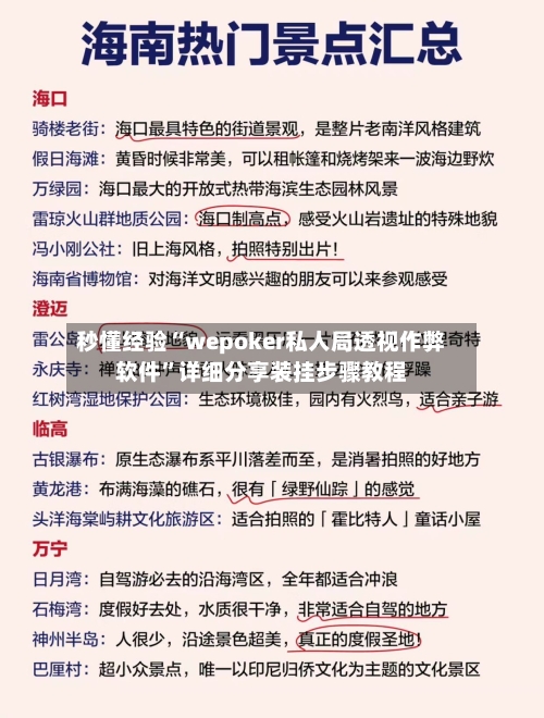 秒懂经验“wepoker私人局透视作弊软件	”详细分享装挂步骤教程-第2张图片