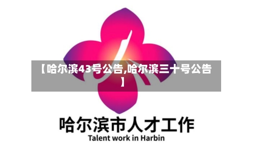 【哈尔滨43号公告,哈尔滨三十号公告】-第3张图片