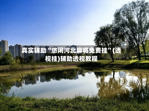 真实辅助“悠闲河北麻将免费挂	”(透视挂)辅助透视教程-第2张图片