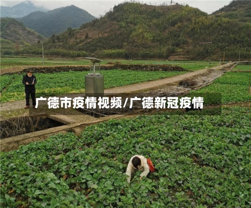 广德市疫情视频/广德新冠疫情-第2张图片