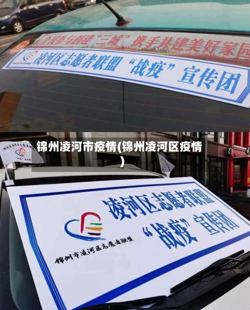 锦州凌河市疫情(锦州凌河区疫情)-第1张图片