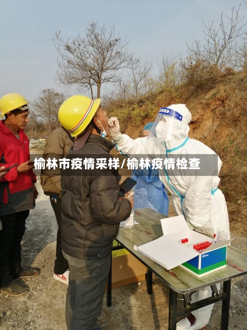 榆林市疫情采样/榆林疫情检查-第1张图片