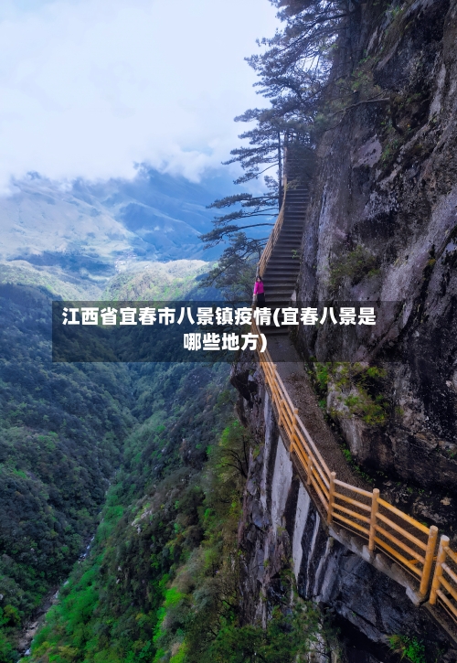江西省宜春市八景镇疫情(宜春八景是哪些地方)-第1张图片