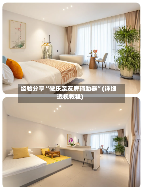 经验分享“微乐亲友房辅助器”(详细透视教程)-第2张图片