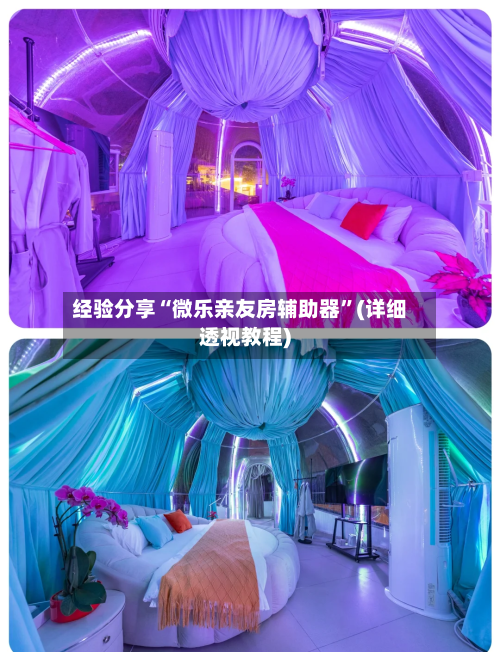 经验分享“微乐亲友房辅助器	”(详细透视教程)-第1张图片