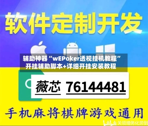 辅助神器“wEPoker透视挂机教程”开挂辅助脚本+详细开挂安装教程-第3张图片