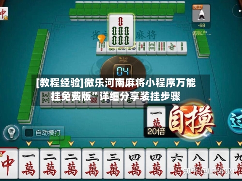 [教程经验]微乐河南麻将小程序万能挂免费版”详细分享装挂步骤-第2张图片
