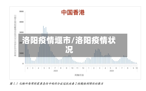 洛阳疫情堰市/洛阳疫情状况-第1张图片