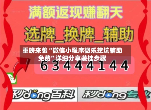 重磅来袭“微信小程序微乐挖坑辅助免费	”详细分享装挂步骤-第2张图片