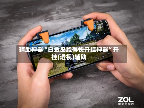 辅助神器“白金岛跑得快开挂神器”开挂(透视)辅助-第2张图片