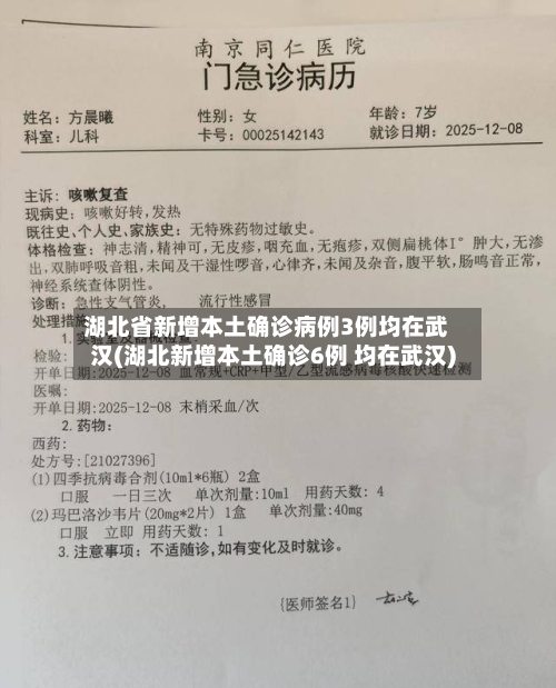 湖北省新增本土确诊病例3例均在武汉(湖北新增本土确诊6例 均在武汉)-第1张图片