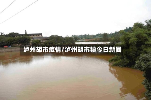 泸州胡市疫情/泸州胡市镇今日新闻-第2张图片