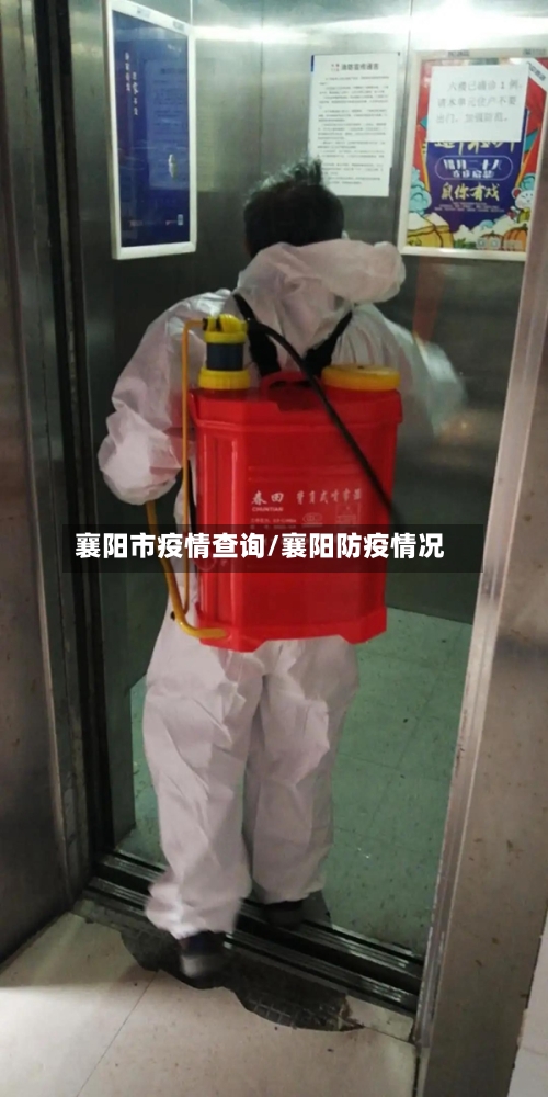 襄阳市疫情查询/襄阳防疫情况-第2张图片