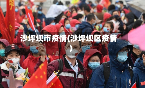 沙坪坝市疫情(沙坪坝区疫情)-第1张图片