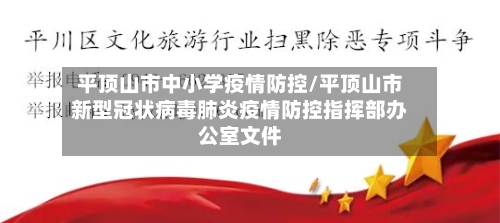 平顶山市中小学疫情防控/平顶山市新型冠状病毒肺炎疫情防控指挥部办公室文件-第1张图片