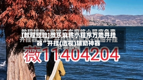 [教程经验]微乐麻将小程序万能开挂器”开挂(透视)辅助神器-第3张图片