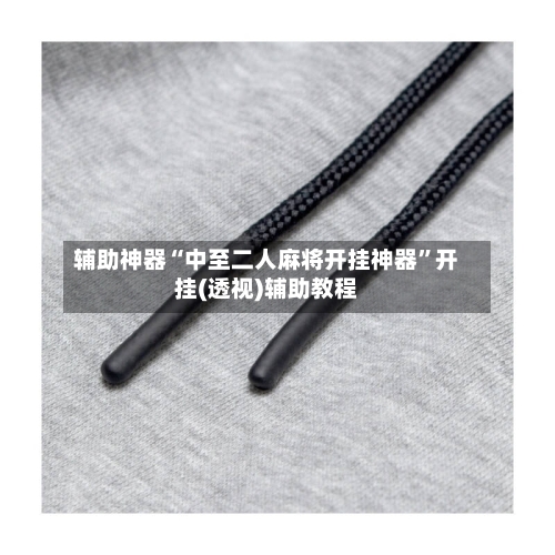 辅助神器“中至二人麻将开挂神器”开挂(透视)辅助教程-第1张图片