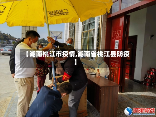 【湖南桃江市疫情,湖南省桃江县防疫】-第1张图片
